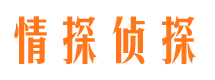 安塞侦探公司